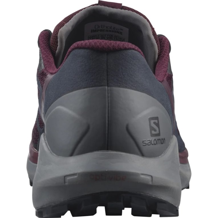 Sapatilhas Trail Running Salomon Sense Ride 4 Feminino Bordeaux Cinzentas Escuro | PT D74923